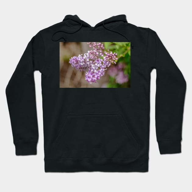 Lilac Hoodie by Bevlyn